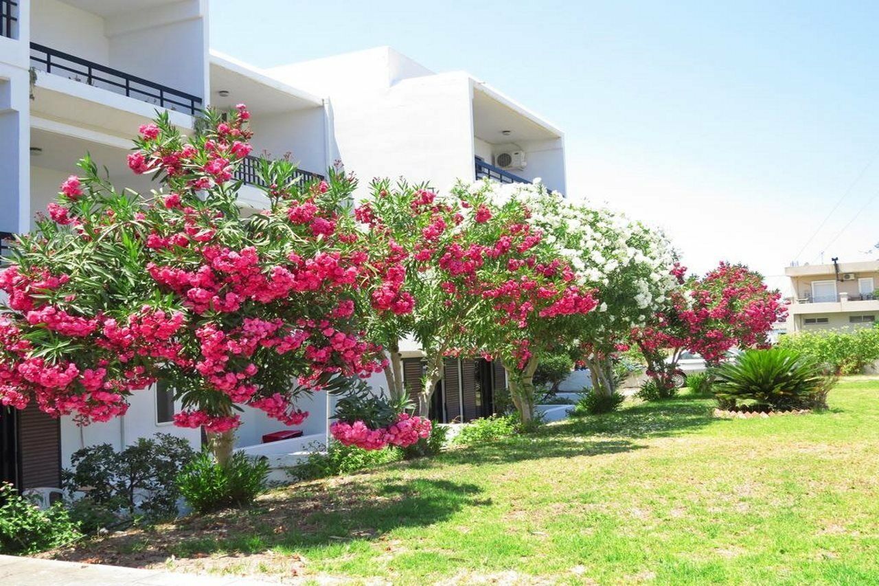 Debby Apartments Ialysos  Ngoại thất bức ảnh